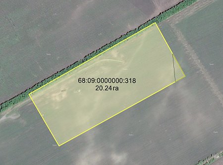Моршанский район, в 2 км на юго-восток от с.Красный пахарь
