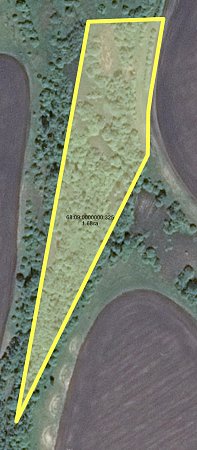Моршанский  р-н., в 4-х км  на  юго-восток  от с.Красный  Пахарь